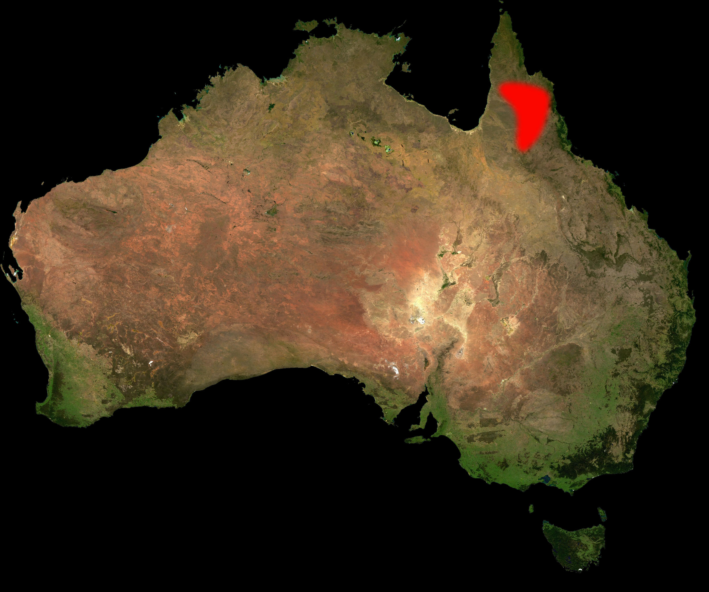 Pygmy banded python range