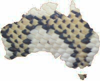 Jaguar Coastal carpet pythons