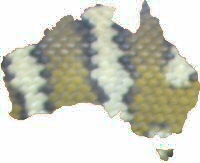 Irian Jaya/West Paupan Carpet Pythons