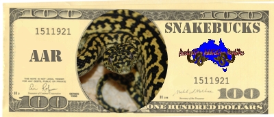 snakebucks
